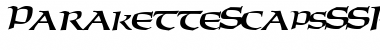 Download ParaketteScapsSSK BoldItalic Font Title Preview