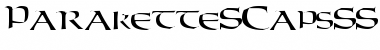 Download ParaketteSCapsSSK Regular Font Title Preview