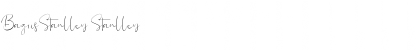 Download BagusStanlley Stanlley Font Title Preview