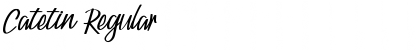 Download Catetin Regular Font Title Preview