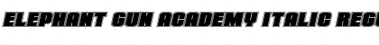 Download Elephant Gun Academy Italic Regular Font Title Preview