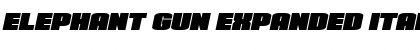 Download Elephant Gun Expanded Italic Regular Font Title Preview