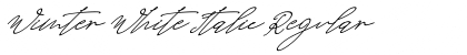 Download Wimter White Italic Regular Font Title Preview