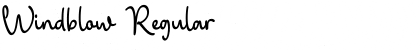 Download Windblow Regular Font Title Preview