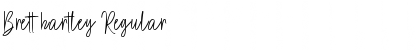 Download Brett hartley Regular Font Title Preview