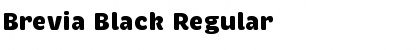 Download Brevia Black Regular Font Title Preview