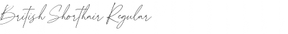 Download British Shorthair Regular Font Title Preview