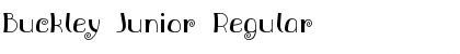 Download Buckley Junior Regular Font Title Preview