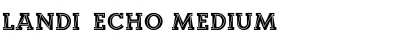 Download Landi_Echo Medium Font Title Preview
