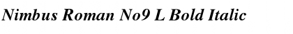 Download Nimbus Roman No9 L Bold Italic Font