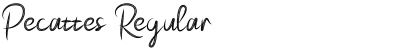 Download Pecattes Regular Font Title Preview