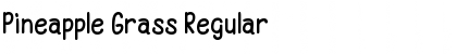 Download Pineapple Grass Regular Font Title Preview