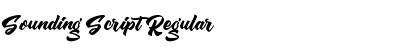 Download Sounding Script Regular Font