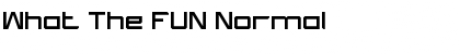 Download What The FUN Normal Font Title Preview