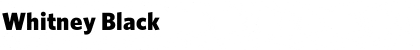 Download Whitney Black Font Title Preview