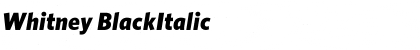 Download Whitney BlackItalic Font Title Preview