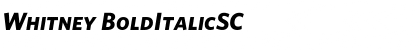 Download Whitney BoldItalicSC Font Title Preview