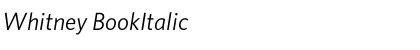 Download Whitney BookItalic Font Title Preview