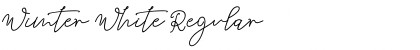 Download Wimter White Regular Font Title Preview