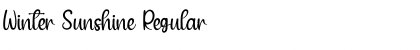 Download Winter Sunshine Regular Font Title Preview