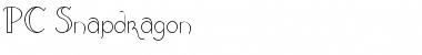 Download PC Snapdragon Regular Font Title Preview