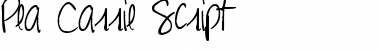 Download Pea Carrie Script Regular Font Title Preview