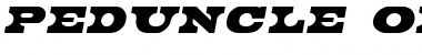 Download Peduncle Oblique Font Title Preview