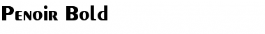 Download Penoir Bold Font Title Preview