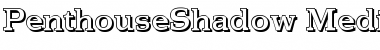 Download PenthouseShadow-Medium Regular Font Title Preview