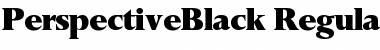 Download PerspectiveBlack Regular Font Title Preview