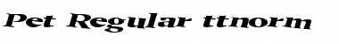 Download Pet Regular Font Title Preview