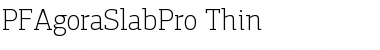 Download PF Agora Slab Pro Thin Font Title Preview