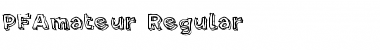Download PF Amateur Regular Font Title Preview