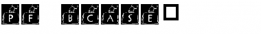 Download pf_bcase2 Regular Font Title Preview