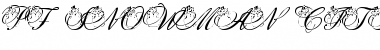 Download pf_snowman citadel pf_snowman citadel Font Title Preview