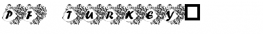 Download pf_turkey2 Regular Font Title Preview