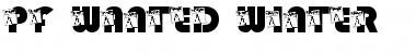 Download pf_wanted_winter Regular Font Title Preview