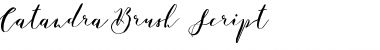 Download Catandra Brush Script Regular Font Title Preview