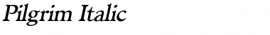 Download Pilgrim Italic Font Title Preview