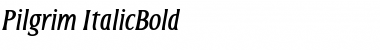 Download Pilgrim Italic Font Title Preview