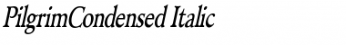 Download PilgrimCondensed Italic Font Title Preview