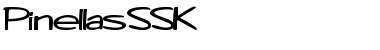 Download PinellasSSK Regular Font Title Preview