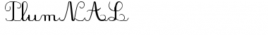 Download PlumNAL Regular Font Title Preview