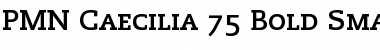 Download Caecilia LightSC Bold Font
