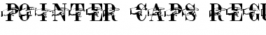 Download Pointer Caps Regular Normal Font Title Preview
