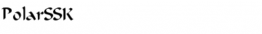 Download PolarSSK Regular Font Title Preview