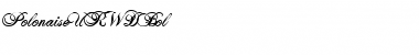 Download PolonaiseURWDBol Regular Font Title Preview