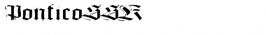 Download PonticoSSK Regular Font Title Preview