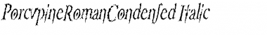 Download PorcupineRomanCondensed Italic Font Title Preview