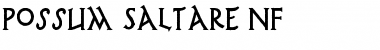Download Possum Saltare NF Regular Font Title Preview